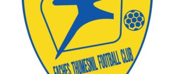 Logo du Faches-Thumesnil FC