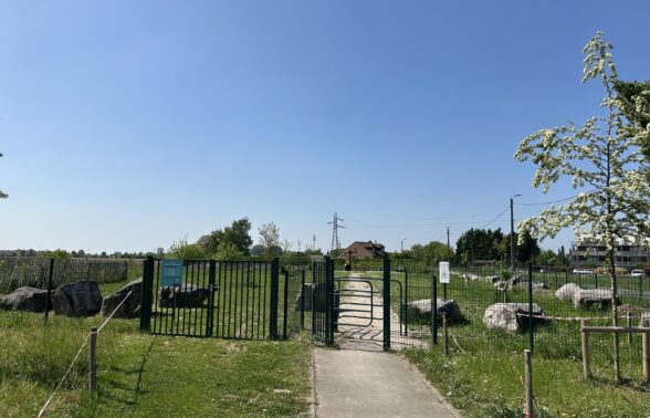 Image illustrant l'espace vert de l'Arbrisseau
