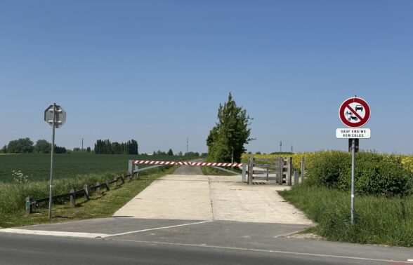 Vue de l'espace naturel des Périseaux