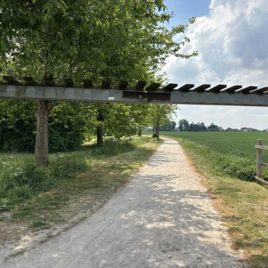 Vue de l'entrée du parc des Aubépines