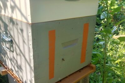 Agrandir l'image 1 sur 8, fenêtre modale