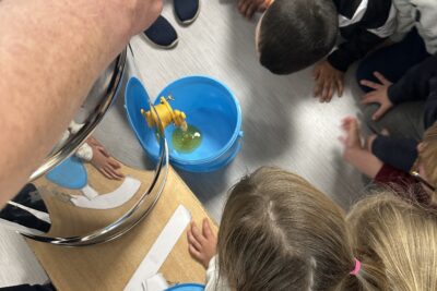 Agrandir l'image 7 sur 8, fenêtre modale