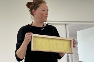 Agrandir l'image 8 sur 8, fenêtre modale