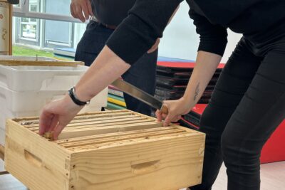 Agrandir l'image 3 sur 8, fenêtre modale