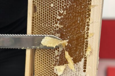 Agrandir l'image 4 sur 8, fenêtre modale