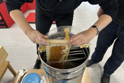 Agrandir l'image 5 sur 8, fenêtre modale