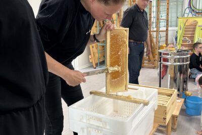 Agrandir l'image 6 sur 8, fenêtre modale