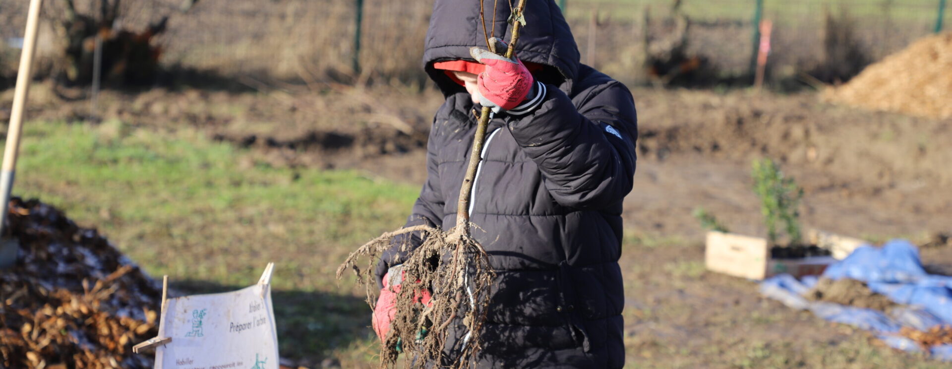 Image représentant un enfant participant à un chantier participatif de plantation d'une micro forêt