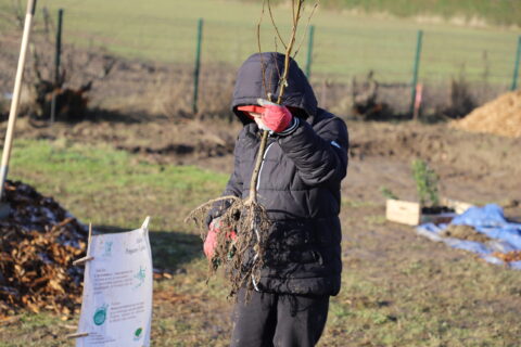 Image représentant un enfant participant à un chantier participatif de plantation d'une micro forêt