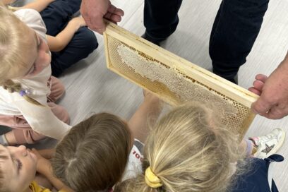 Image représentant un atelier réalisé au sein de l'école Daudet à propos du rôle des abeilles. - Agrandir l'image, fenêtre modale