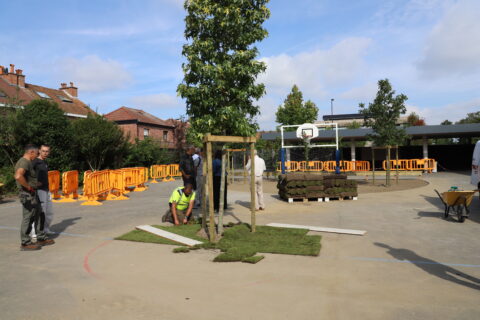image représentant les travaux de débétonisation de la cour de l'école Kléber