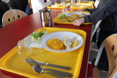plateau repas dans une cantine scolaire