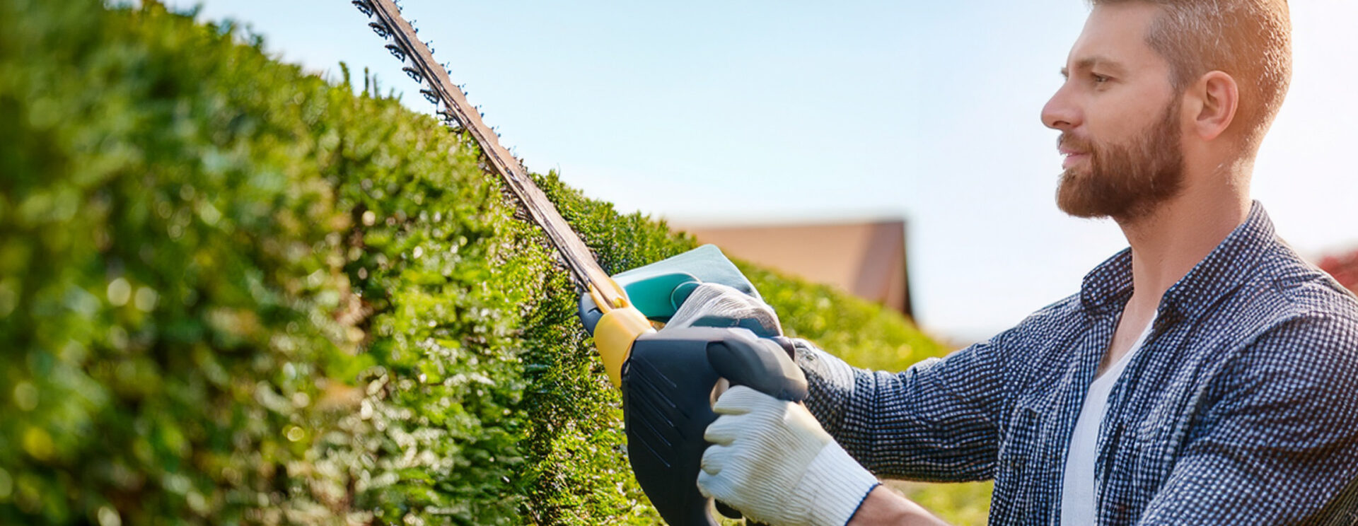 Un homme qui utilise un taille-haie électrique dans son jardin