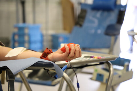 Image représentant une personne s'enregistrant avant de réaliser un don du sang