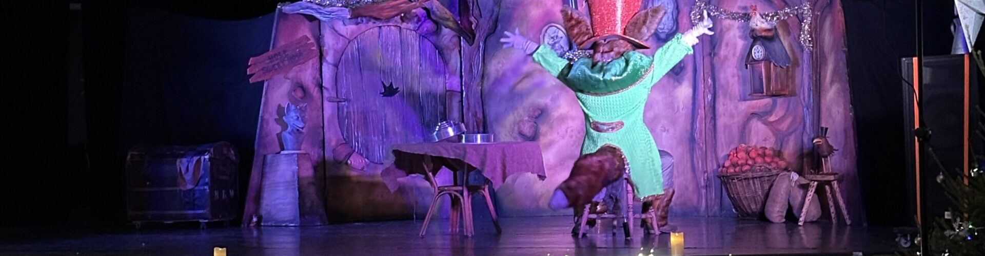 Photo du spectacle des feeries de noel 2024