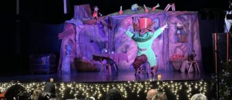 Photo du spectacle des feeries de noel 2024