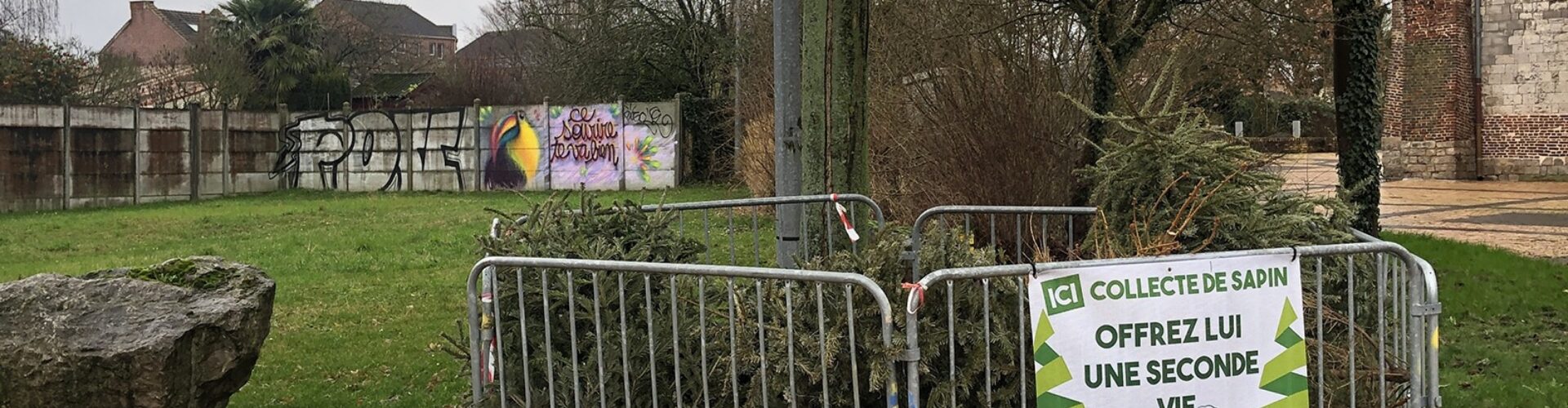 Image représentant un emplacement de collecte des sapins de Noël