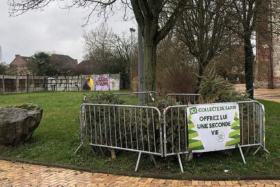 Image représentant un emplacement de collecte des sapins de Noël - Agrandir l'image, fenêtre modale