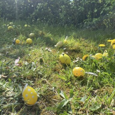 Image d’œufs sur une pelouse à l'occasion de la chasse aux oeufs