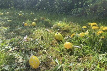 Image d’œufs sur une pelouse à l'occasion de la chasse aux oeufs - Agrandir l'image, fenêtre modale