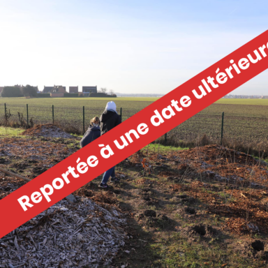 Report réunion publique visuel