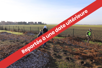 Report réunion publique visuel - Agrandir l'image, fenêtre modale