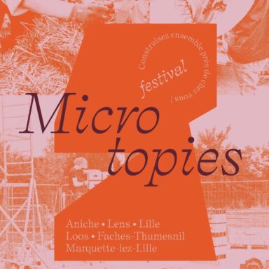 Visuel du Festival Microtopies