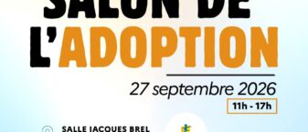 Visuel salon adoption