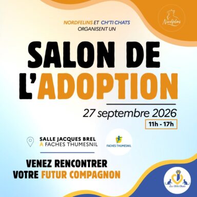 Visuel salon adoption