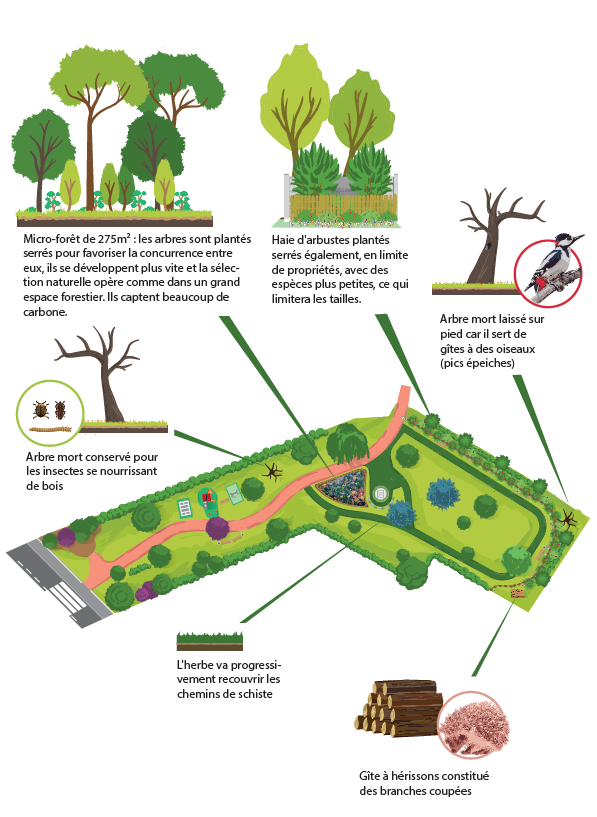 Plan du chantier nature au parc Jean Jaurès